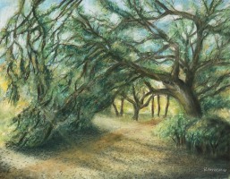 RArredondoBrackParkTreesbyWitte