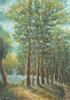 RArredondoE.TexasPineyWoods